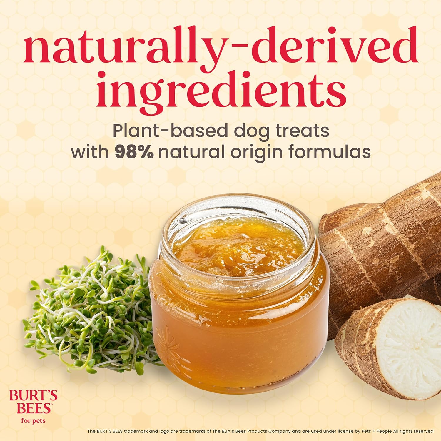 BURT'S BEES FOR PETS Dental Treats for Dogs with Manuka Honey & Ginger, Holistic, Plant-Based Oral Care, 98% Natural Origin Formulas, Peppermint Flavor, Dog Treats Small Dogs, Sz Sm 10ct, 7.4 oz - Happypetzone.online - Image 4
