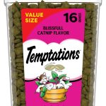 best cat treats