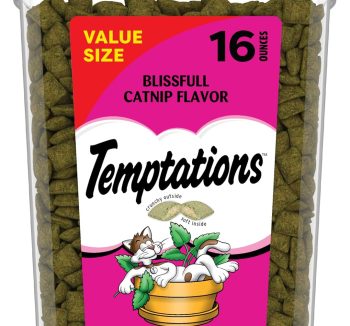best cat treats