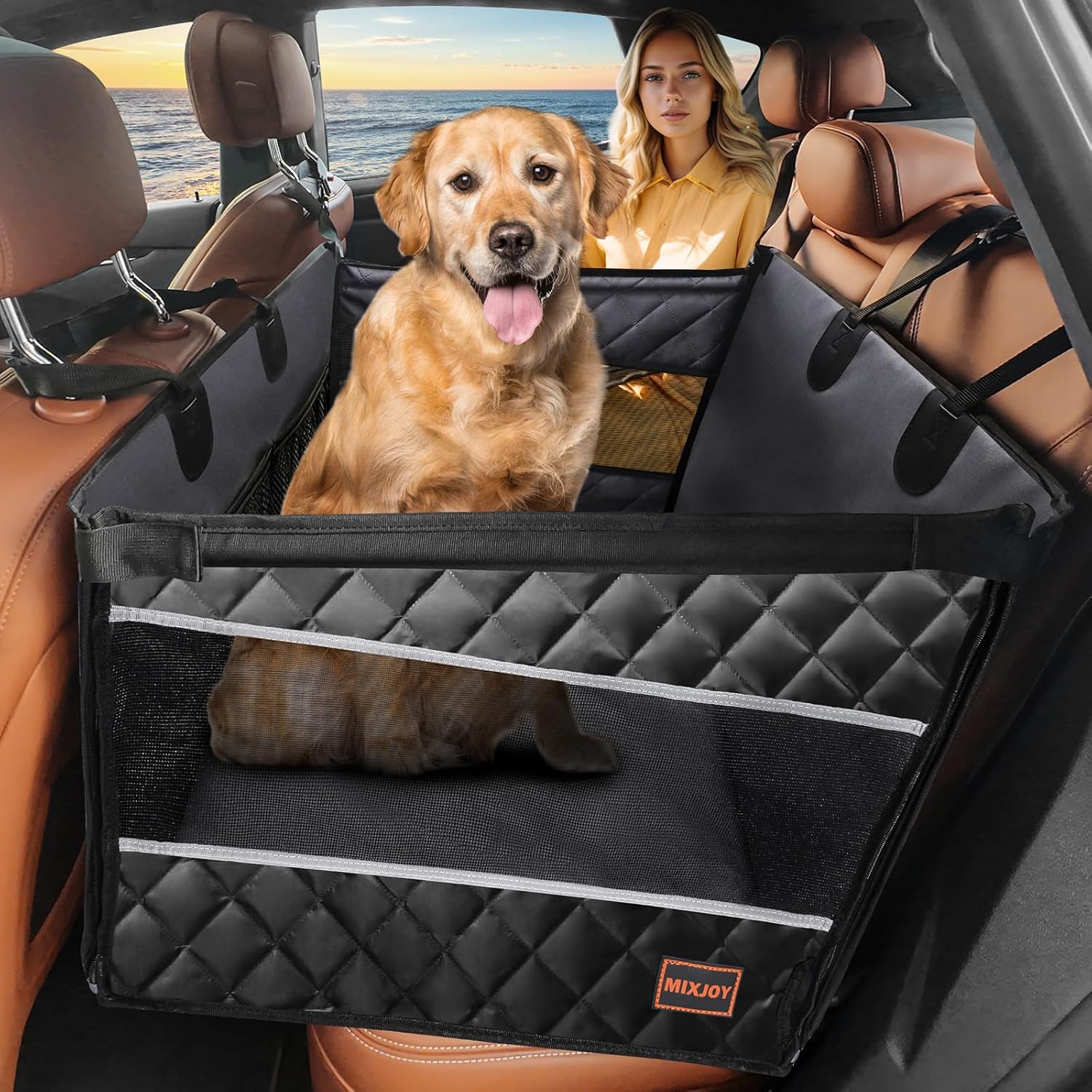 dog transport accessories