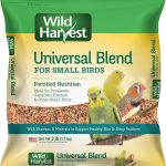 bird seed mix