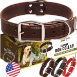 dog collar leather