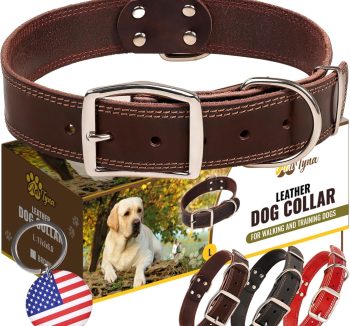 dog collar leather