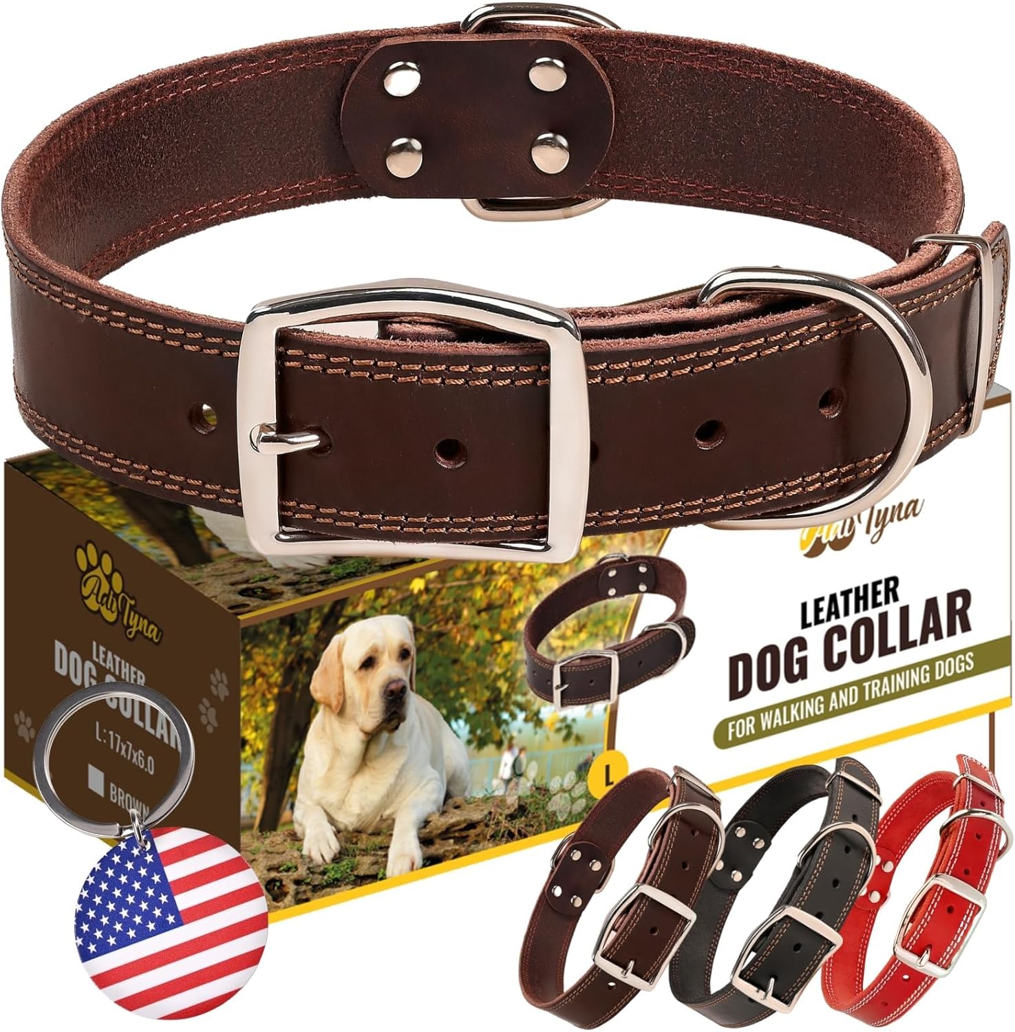 dog collar leather