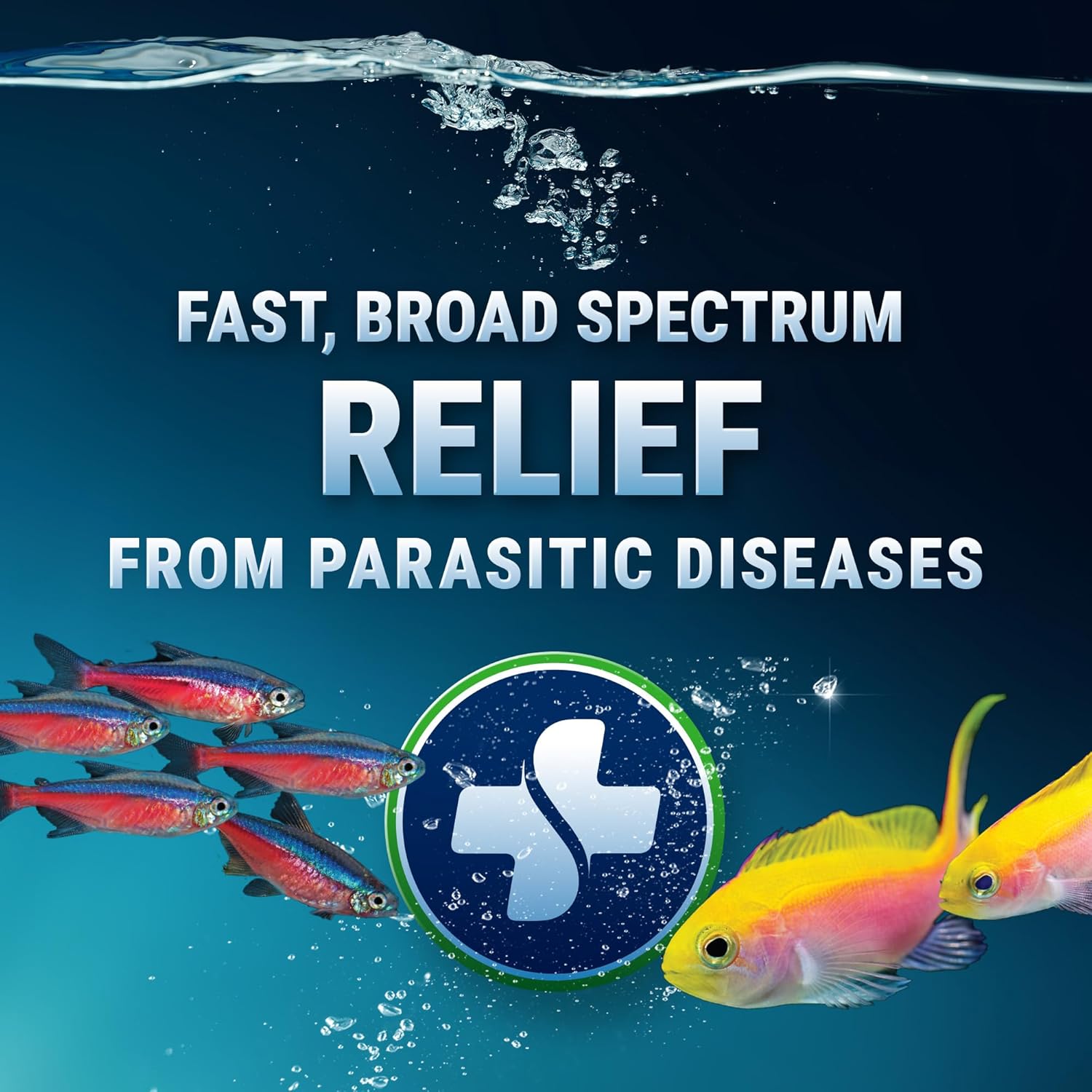 Fritz Aquatics ParaCleanse Provides Fast Relief from Parasitic Diseases (20-Count) - Happypetzone.online - Image 2