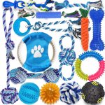 dog toys for small dogs