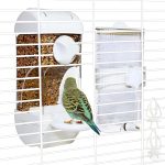 bird feather care supplement