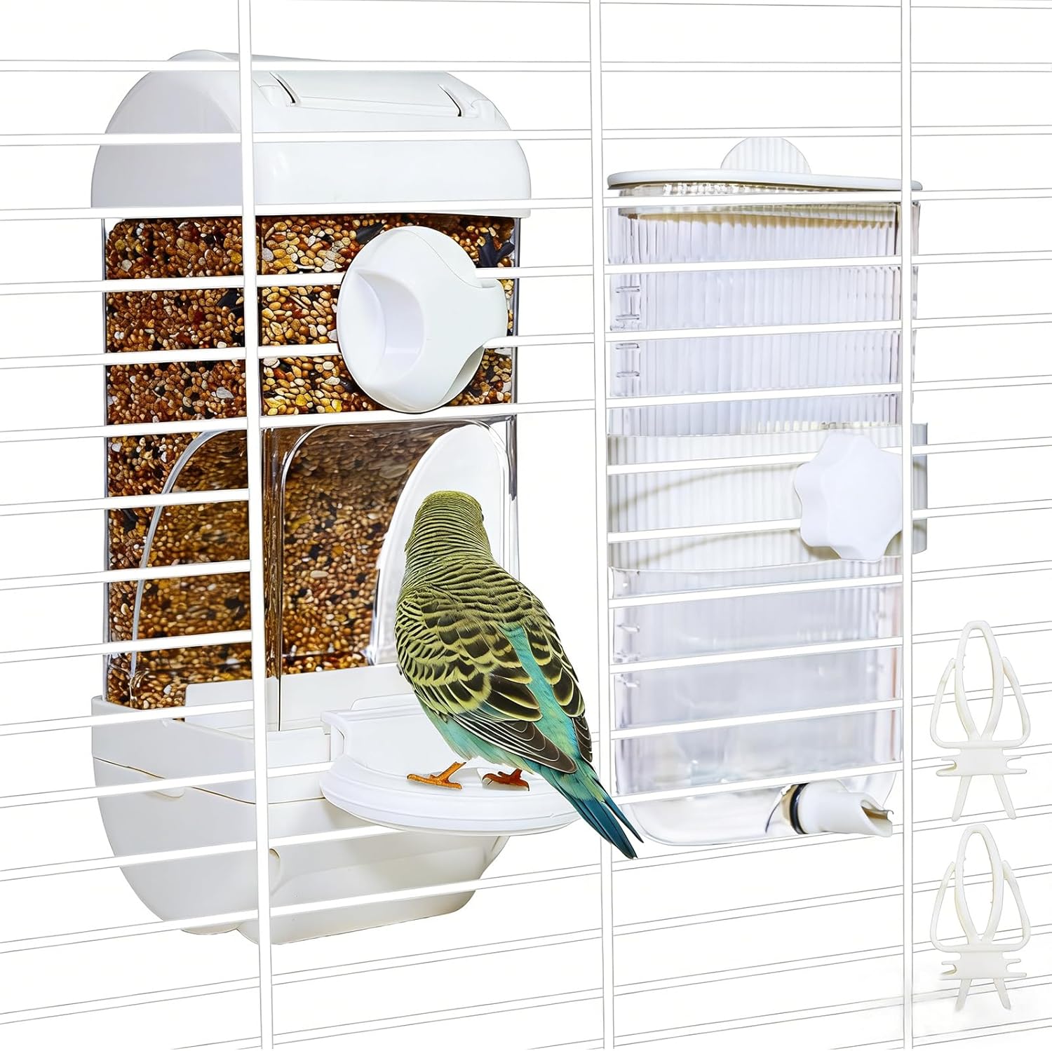 bird feather care supplement
