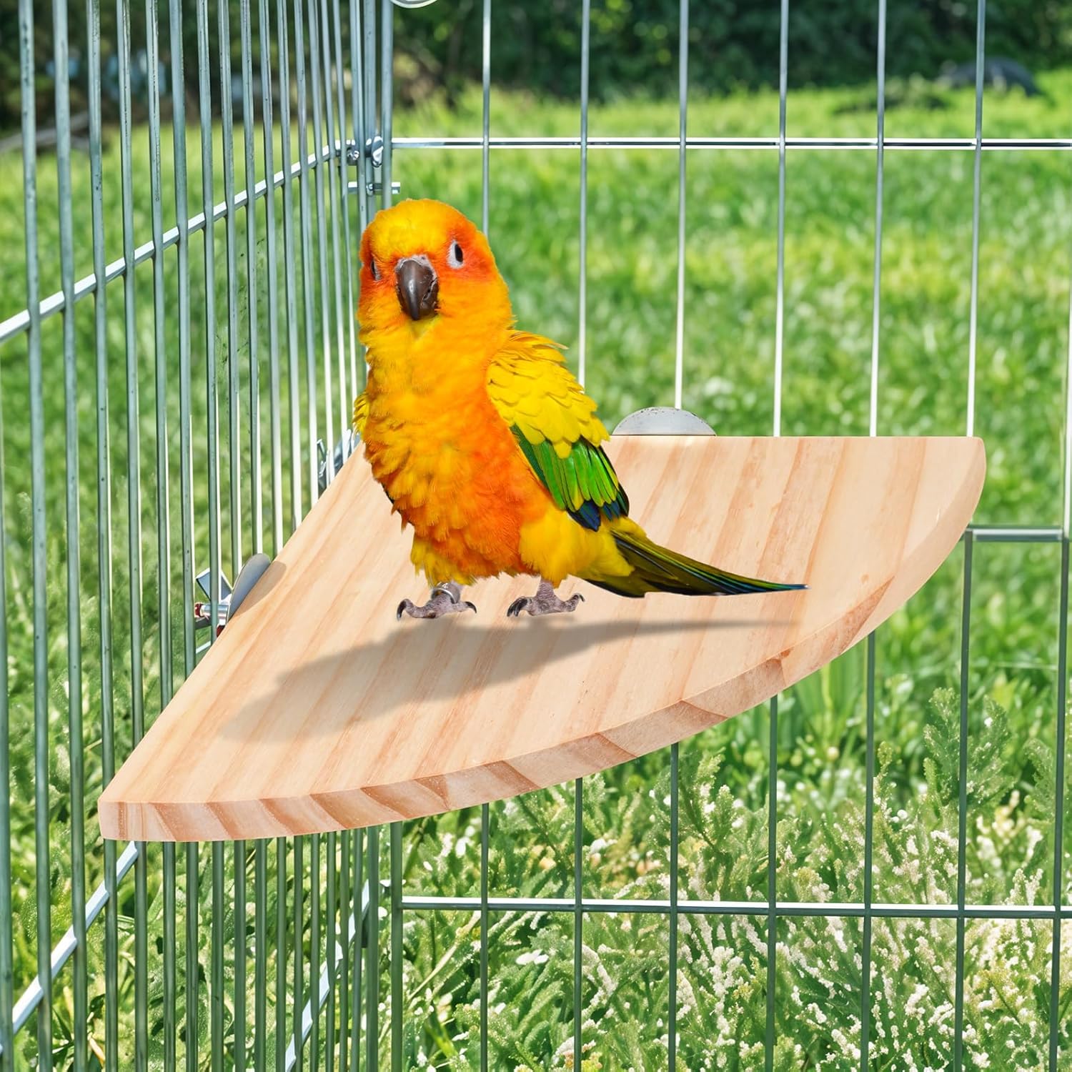 Bird Perch Platform Stand Wooden Parrot Perch Corner 6.7 Inches Fan Shape Playground Cage Accessories Parrot Stand Flat Perches for Bird Cages Corner Shelf for Birds Parrots Hamster Gerbil - Happypetzone.online - Image 7