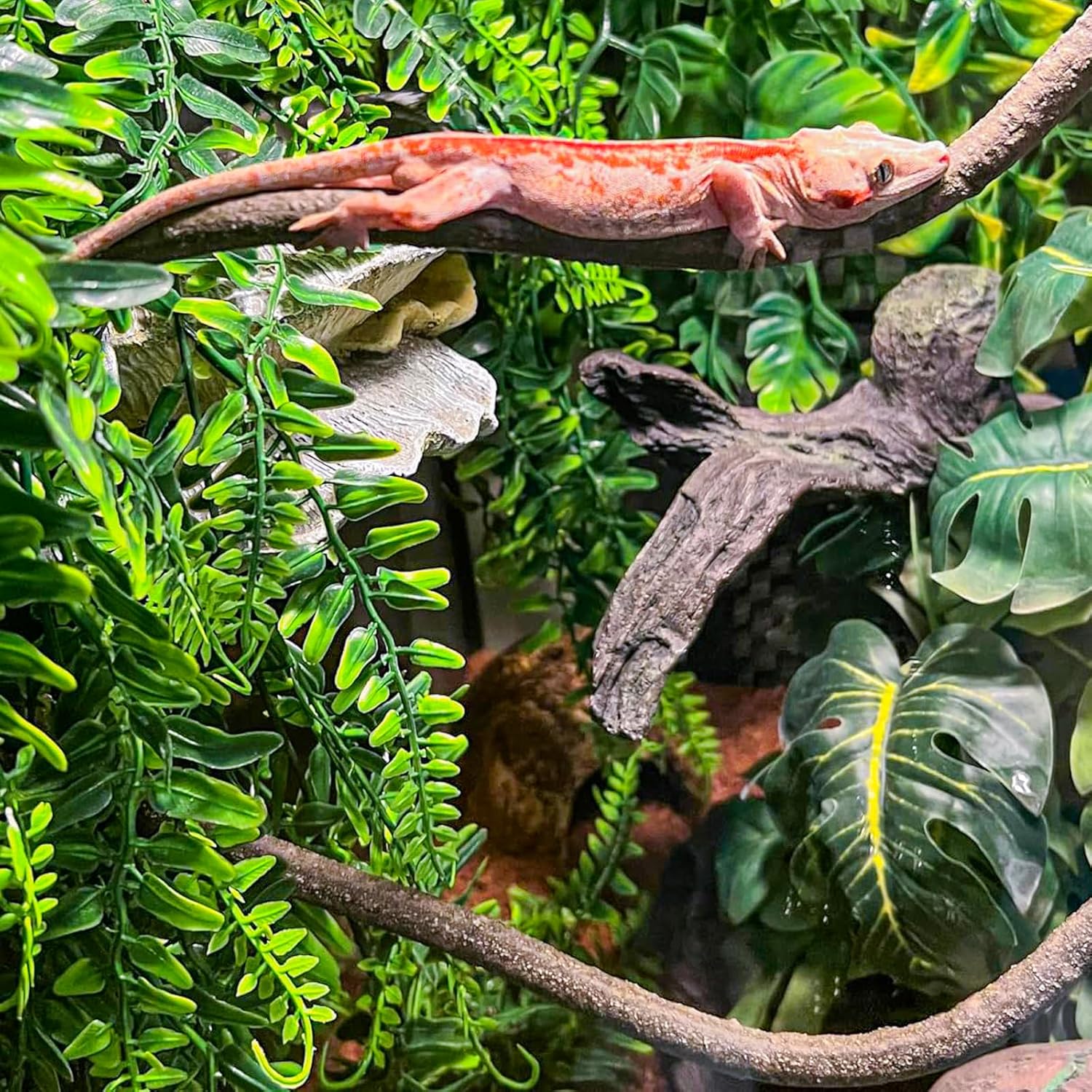 HERCOCCI 2 Pack Reptile Plants, Terrarium Hanging Plants Vines Artificial Leaves Habitat Decorations with Suction Cup for Bearded Dragon Hermit Crab Lizard Snake Geckos Chameleon - Happypetzone.online - Image 5