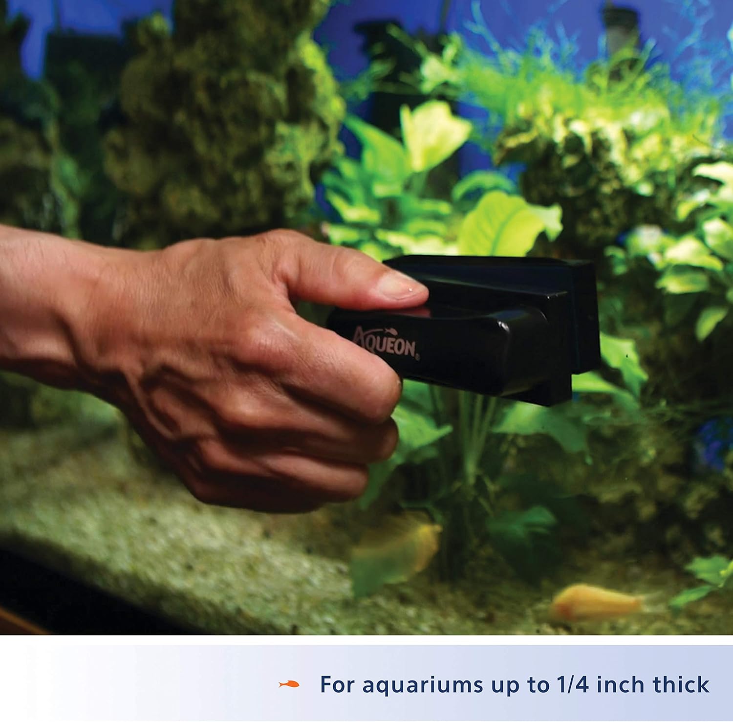 Aqueon Aquarium Algae Scraper, Fish Tank Cleaning Magnets for Glass/Acrylic, Small, Black - Happypetzone.online - Image 6