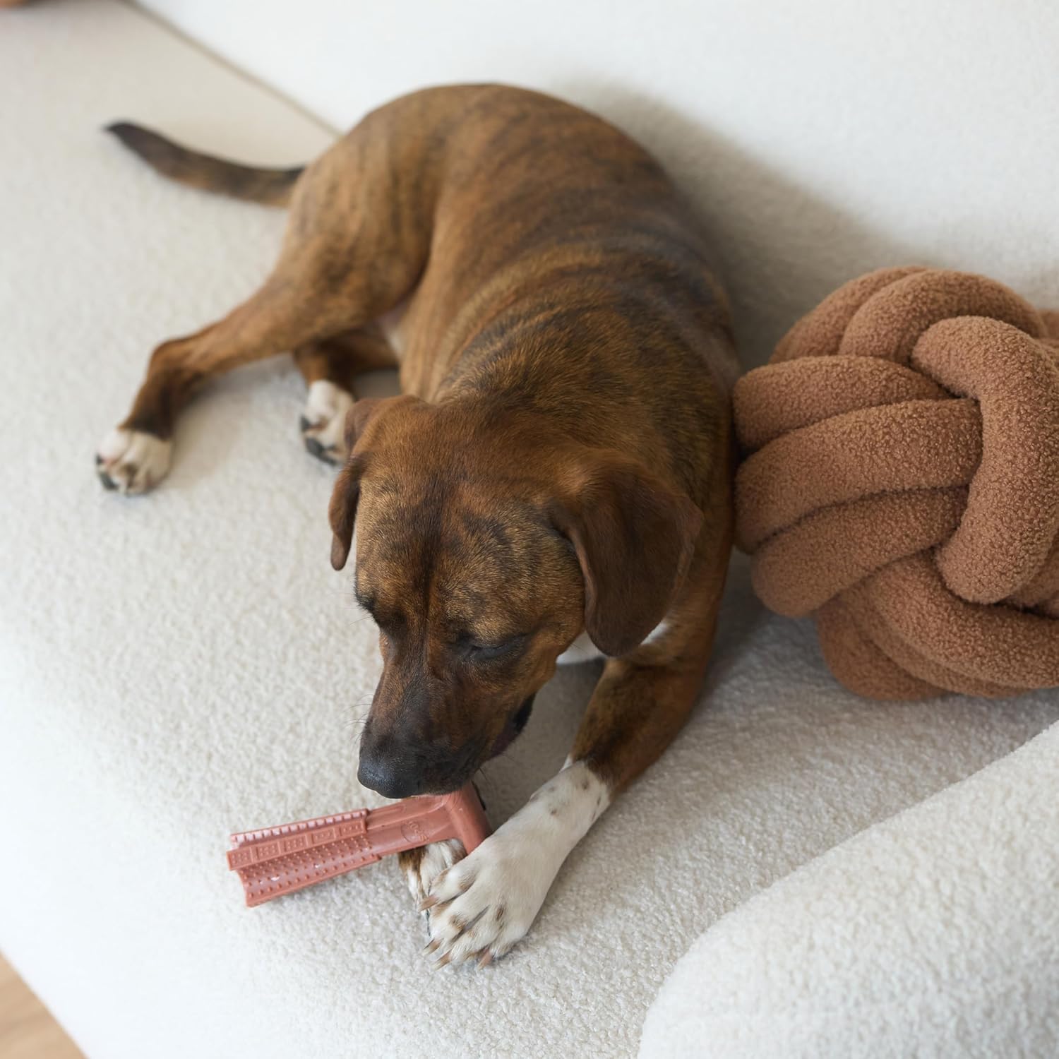 SPOT Bam-Bones Plus T Bone – Bamboo Fiber & Nylon Dog Chew Toy for Moderate to Aggressive Chewers, Durable Long Lasting & Non-Splintering, Beef Flavor Toy for Adult Dogs & Puppies Under 60 lbs, 6 in - Happypetzone.online - Image 11