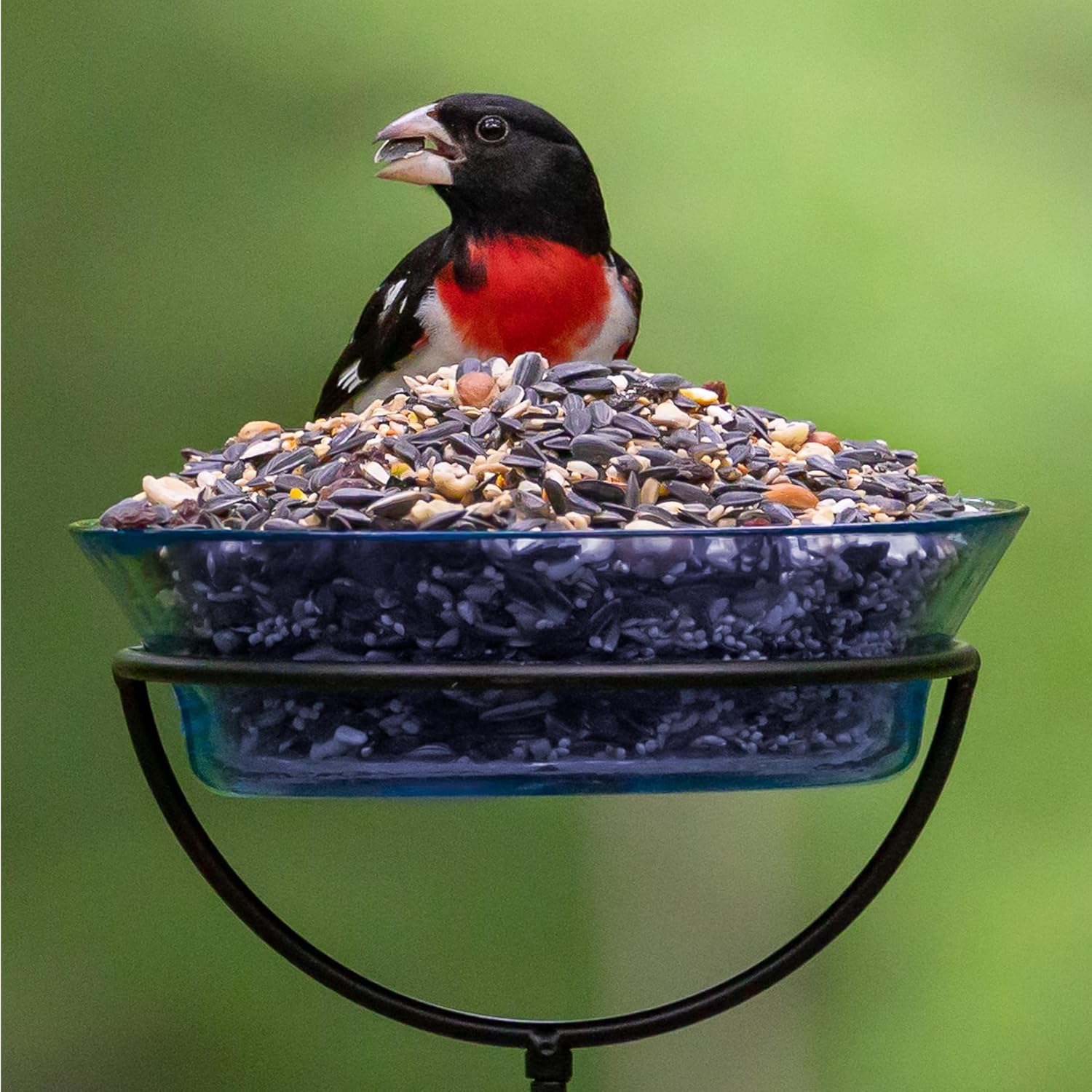 Audubon Park Extreme Variety Wild Bird Seed for Outside Feeders, 15-lb. Bag - Happypetzone.online - Image 8