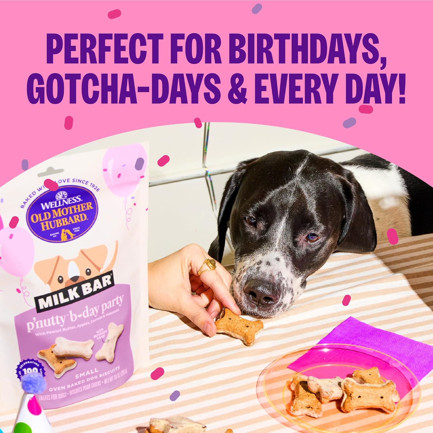Wellness Old Mother Hubbard Milk Bar P'Nutty B-Day Party Dog Biscuits, Natural Treats, Peanut Butter Flavor with Birthday Icing, 10 oz Bag - Happypetzone.online - Image 9