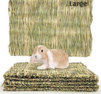 rabbit bedding hay base