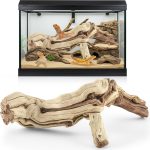 reptile climbing logs
