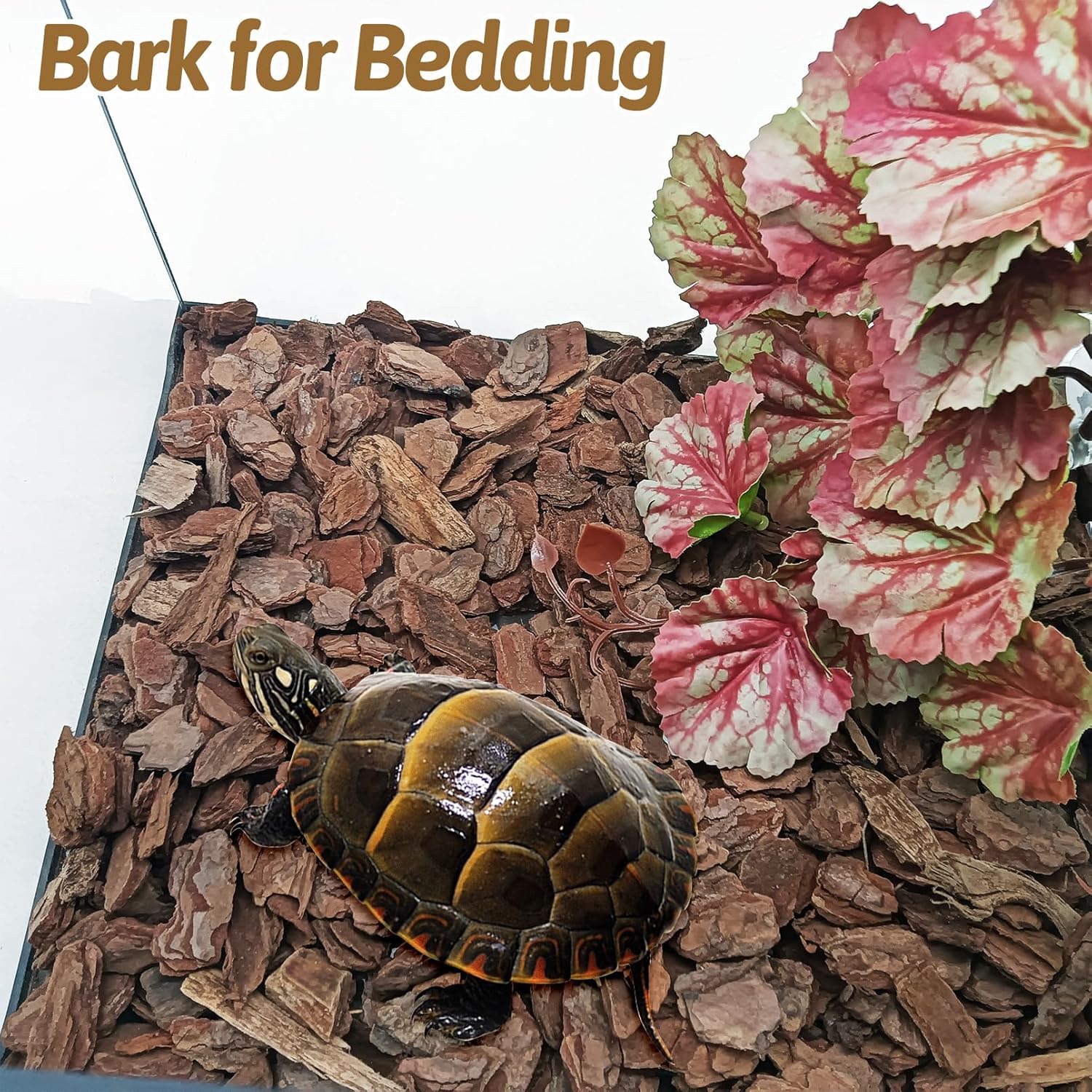 BNOSDM Reptile Pine Bark Substrate 17oz Tortoise Bedding for Habitat Natural Flat Cork Wood Bulk Terrarium Reusable Bark Pieces for Lizard, Crested Gecko, Spider, Chameleon, Ball Python, Tree Frog - Happypetzone.online - Image 3