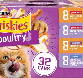 best wet cat food