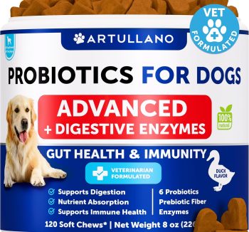dog probiotic supplement