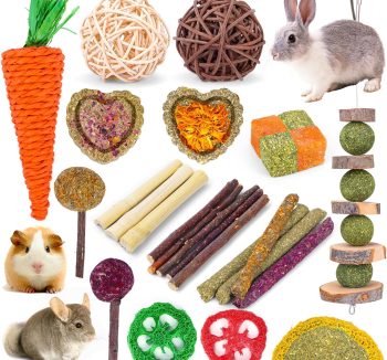 rabbit treats natural
