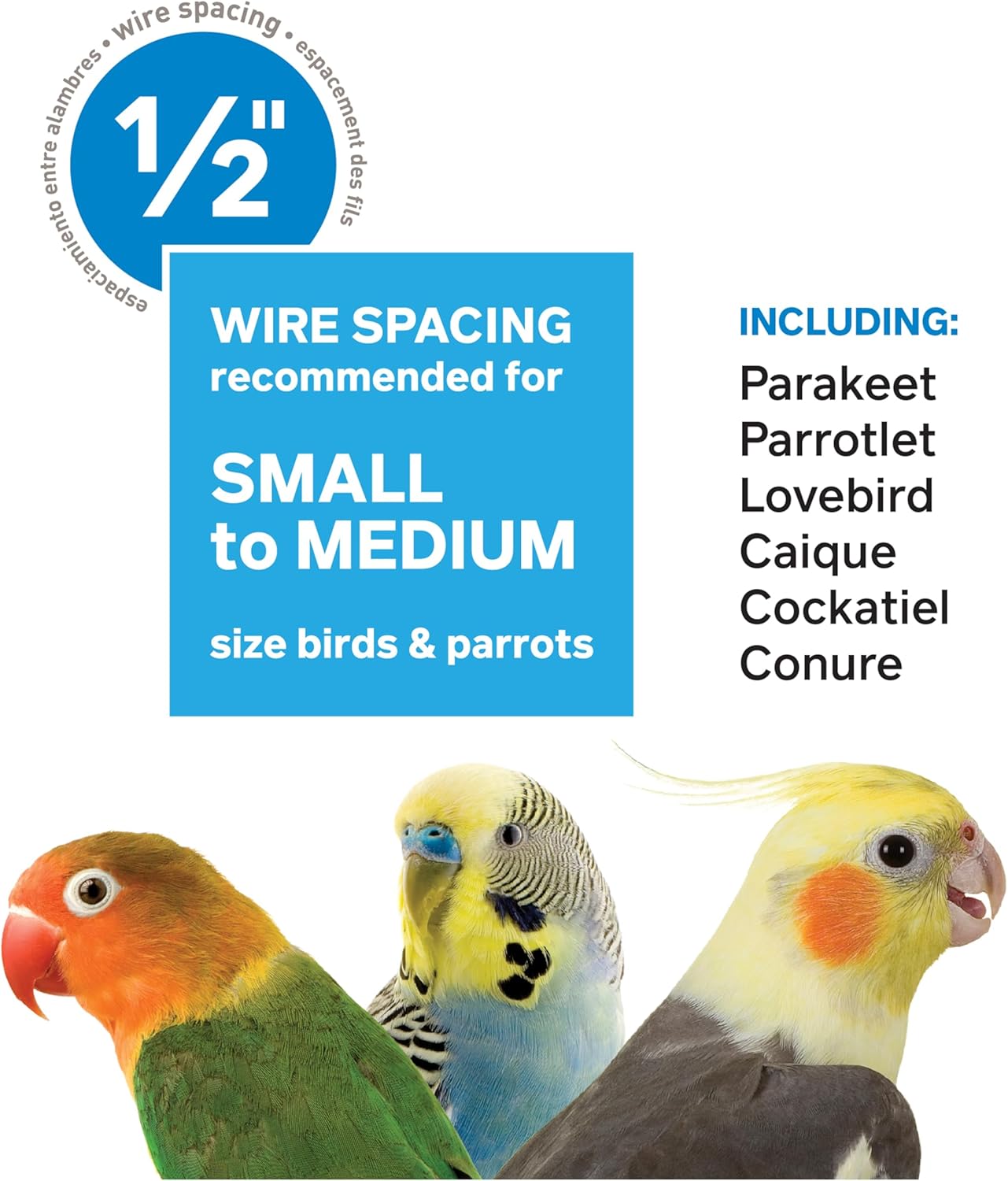 Prevue Pet Products Steel Bird Flight Cage with Wheels - Large Birdcage for Parakeets, Canaries, Finches, Cockatiels, Lovebirds, & Green Cheek, Metal Standing Birdcage - Black, Large - Happypetzone.online - Image 8