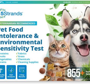 small pet food for growth