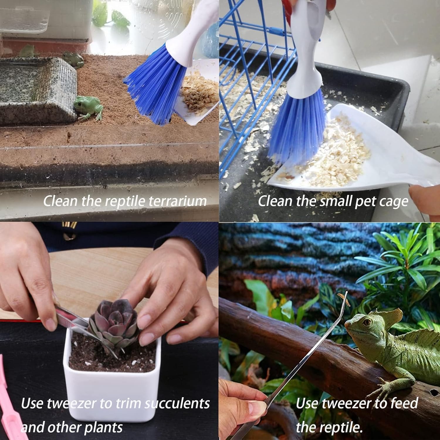 Tiny Cleanning Broom, Scooper Feeding Tool,Mini Dustpan and Brush, Stainless Steel Tweezer Reptile Tank Cleaner for Reptile and Other Small Animals Supplies 3Pcs - Happypetzone.online - Image 5