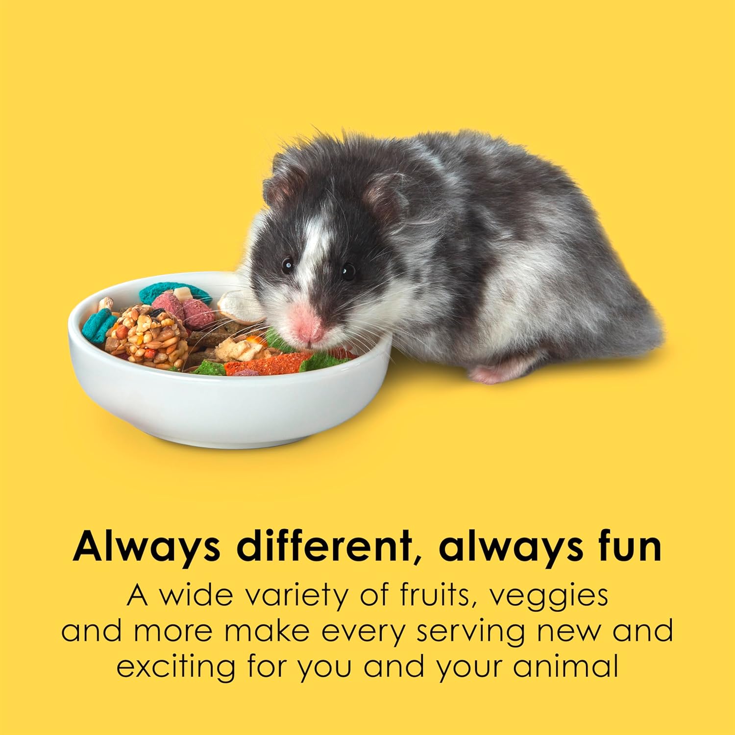 Kaytee Fiesta Hamster & Gerbil Food, Nutritious and Fun Blend, Supports Dental Health and Digestion, 2.5 pounds - Happypetzone.online - Image 3
