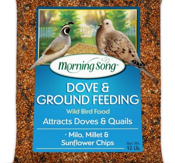 best bird food