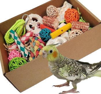 bird toys colorful