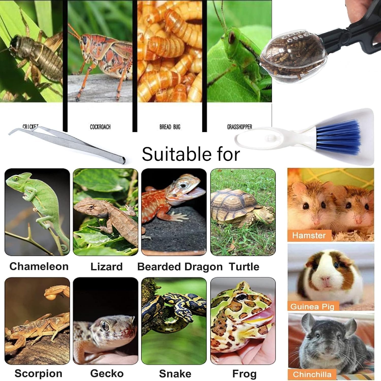 Tiny Cleanning Broom, Scooper Feeding Tool,Mini Dustpan and Brush, Stainless Steel Tweezer Reptile Tank Cleaner for Reptile and Other Small Animals Supplies 3Pcs - Happypetzone.online - Image 7