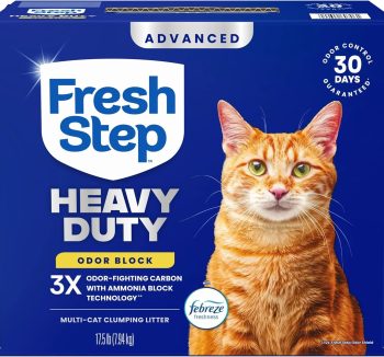 cat litter box system
