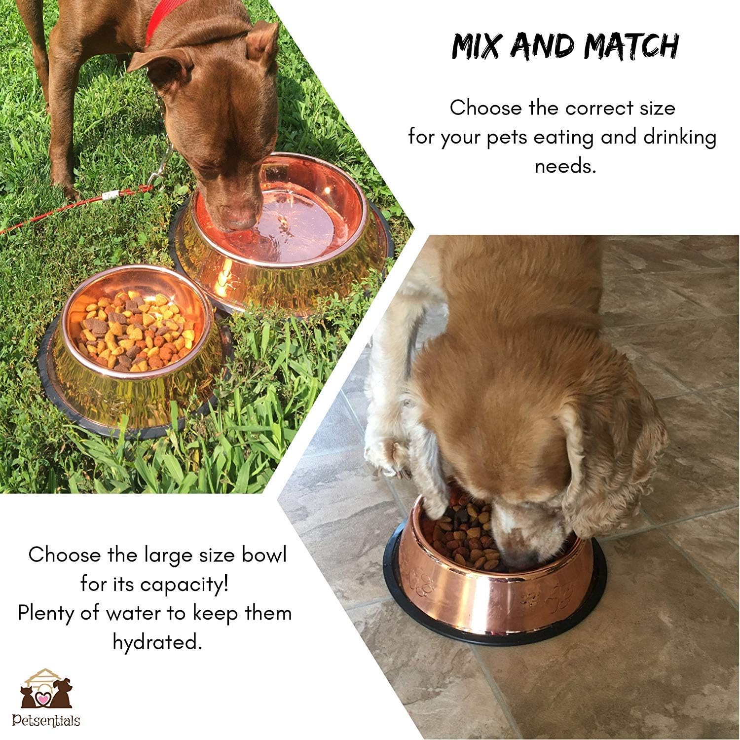 Petsentials Non-Skid Stylish Food Bowl for Your Pet, Premium Grade Stainless Steel - Elegant Bronze | Small, 18oz (2 Pack) - Happypetzone.online - Image 3