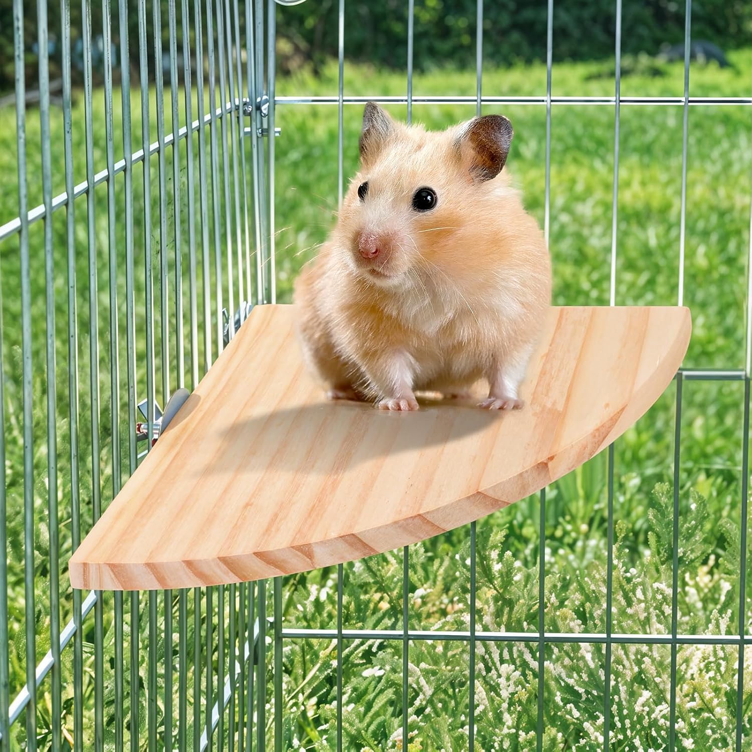 Bird Perch Platform Stand Wooden Parrot Perch Corner 6.7 Inches Fan Shape Playground Cage Accessories Parrot Stand Flat Perches for Bird Cages Corner Shelf for Birds Parrots Hamster Gerbil - Happypetzone.online - Image 6