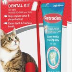 cat hygiene products