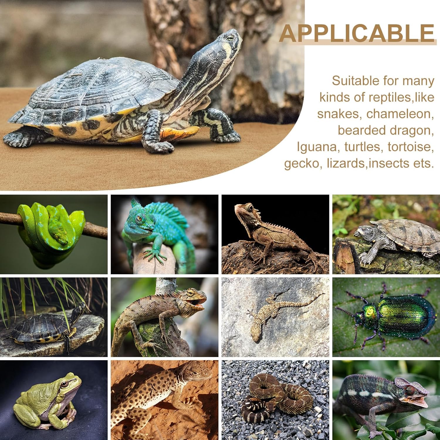 Haull 4 Pcs Reptile Carpet Pet Terrarium Floor Liners Bedding Substrate Liner Supplies Reptile Cage Mat Tank Accessories for Lizard Bearded Dragon Tortoise Snake Leopard (47 x 24 Inch, Coffee) - Happypetzone.online - Image 6