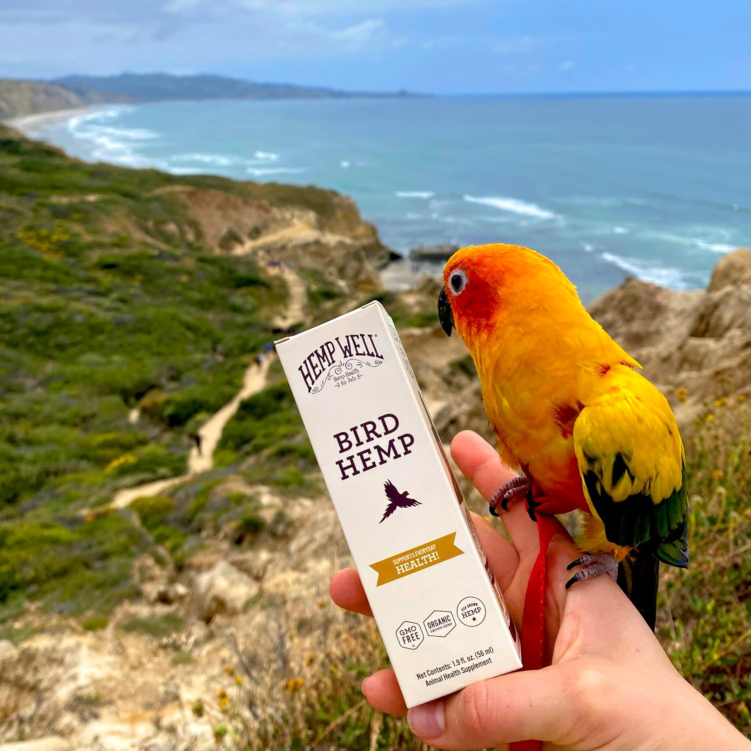 Organic Hemp Well Bird Hemp Oil – 2 Ounces. Parrot, Parakeet, Cockatiel and All Birds for Supporting Health, Feather Plucking, Destructive Behavior Reduction, Immune Support, and Relaxation. - Happypetzone.online - Image 2