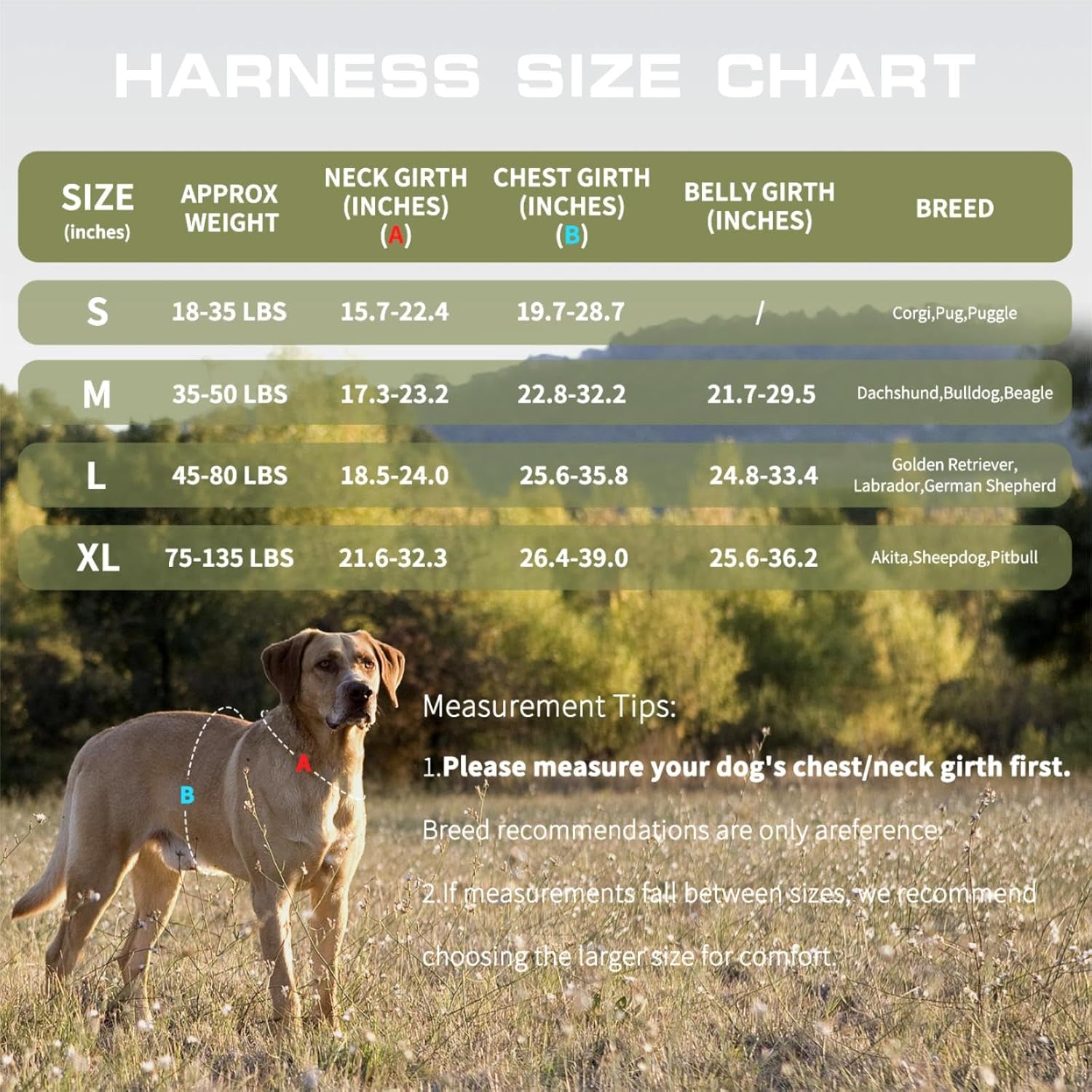Dog Harness for Large Dogs Heavy Duty, Tactical No Pull Dog Harness with Molle System, Easy On and Off Service Dog Vest, Breathable Padded, Adjustable Reflective Pet Vest for Walking Hiking Training - Happypetzone.online - Image 6