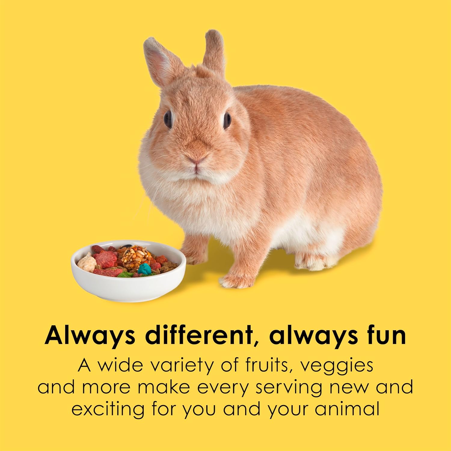 Kaytee Fiesta Rabbit Food, Nutritious and Fun Blend, Supports Dental Health and Digestion, 3.5 pounds - Happypetzone.online - Image 3