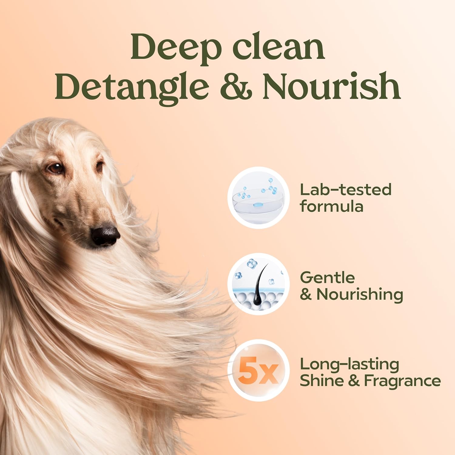 PAWFUME Deshedding Dog Shampoo and Conditioner, Show Dog, 1-Pack – Nourish & Detangle for Silky Soft Coat – Probiotic, Deep-Cleaning, pH-Balanced Formula – Salon-Quality Shampoo for Dogs - Happypetzone.online - Image 5