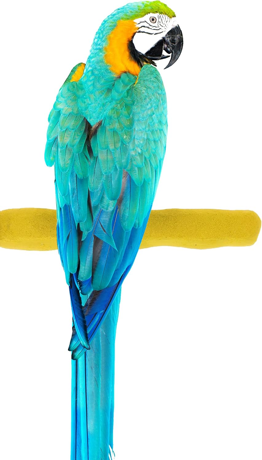 bird perch comfortable grip