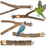 bird perch natural wood