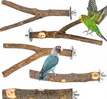 bird perch natural wood