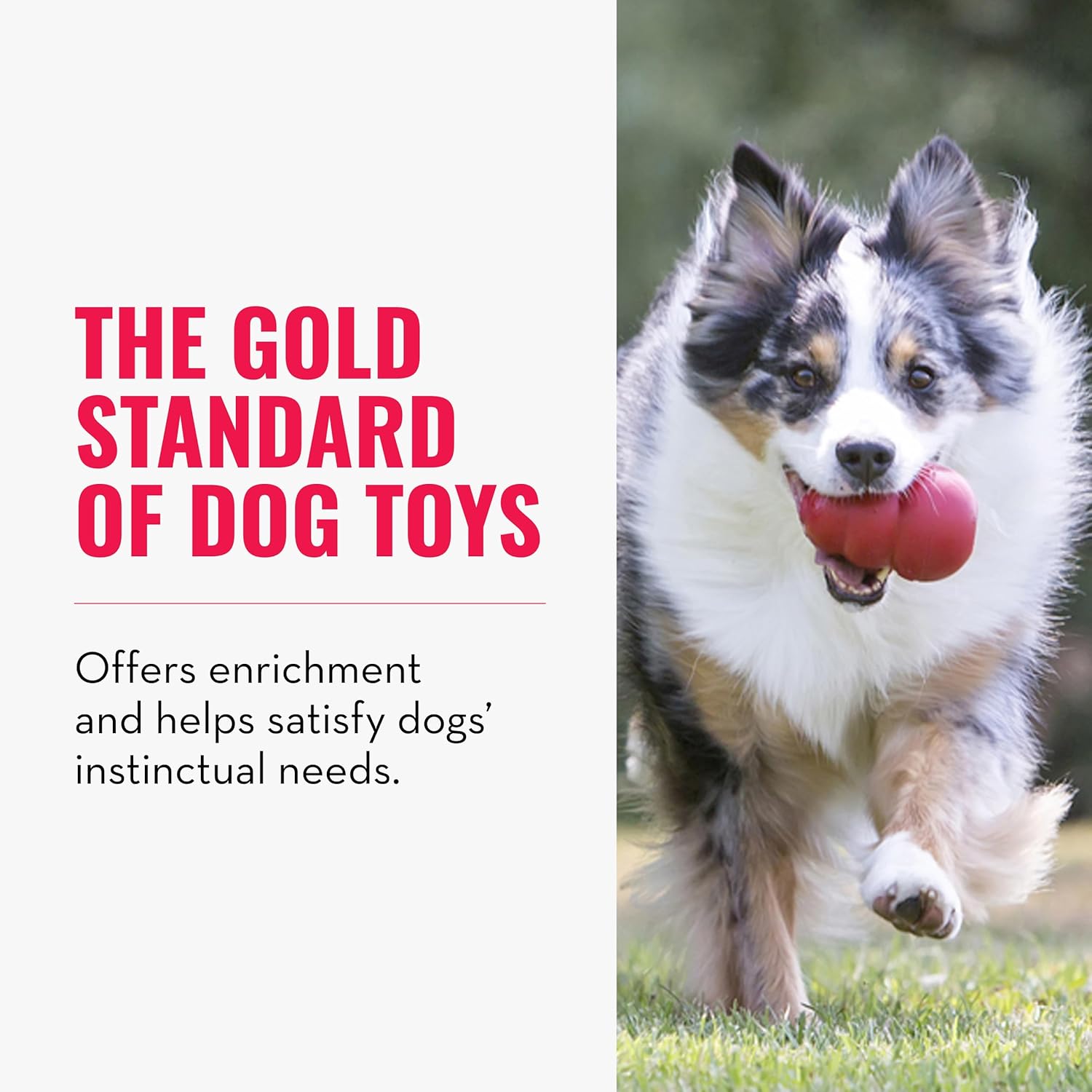 KONG Classic Stuffable Dog Toy - Fetch & Chew Toy for Dogs - Treat-Filling Capabilities & Erratic Bounce for Extended Play Time - Durable Natural Rubber Material - for Medium Dogs - Happypetzone.online - Image 4