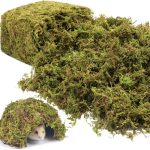 reptile natural habitat bedding