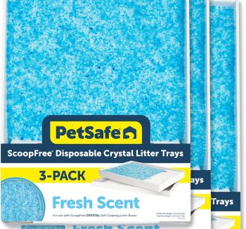 small pet litter safe