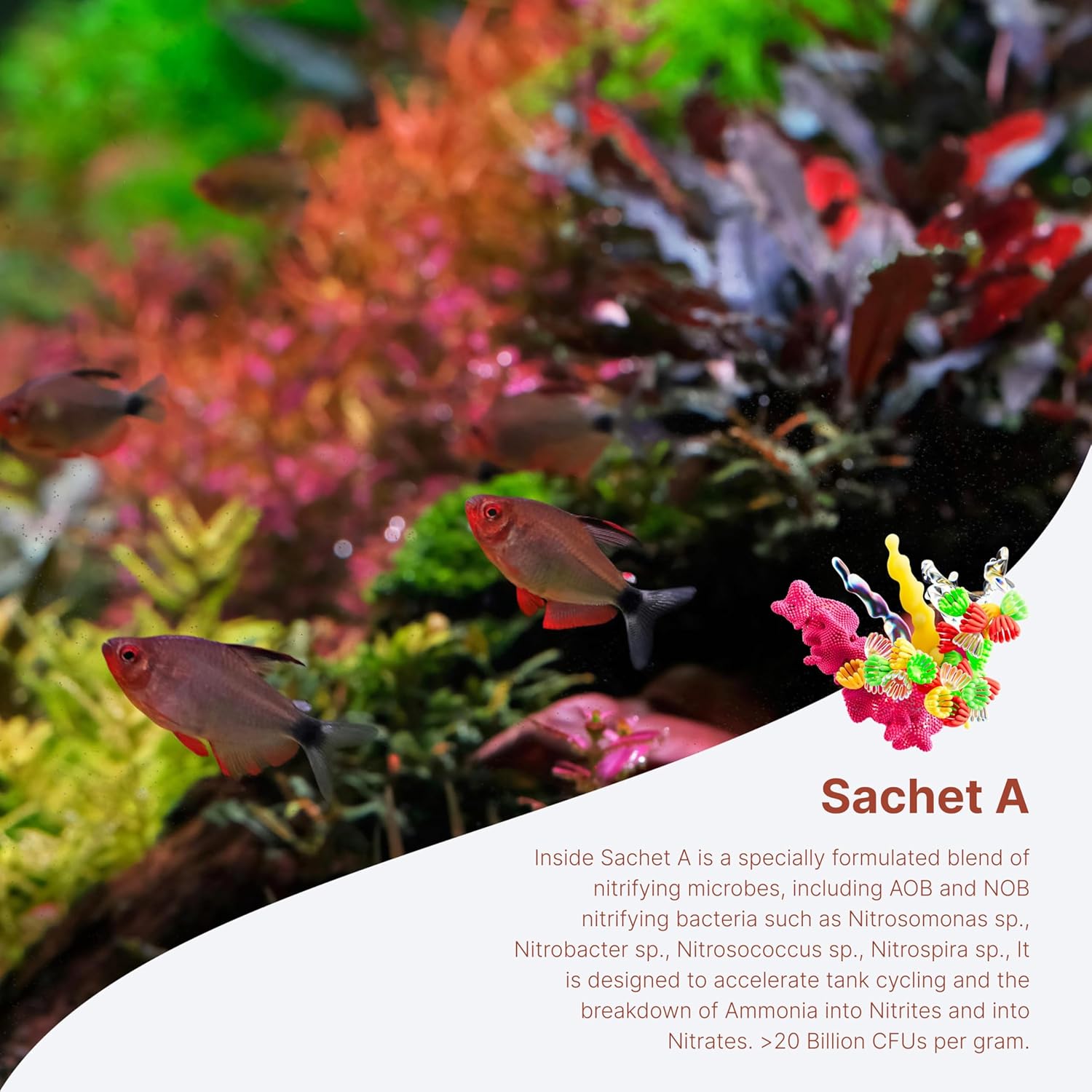 2Hr Aquarist APT Balance Freshwater Aquarium Starter Bacteria - Happypetzone.online - Image 5