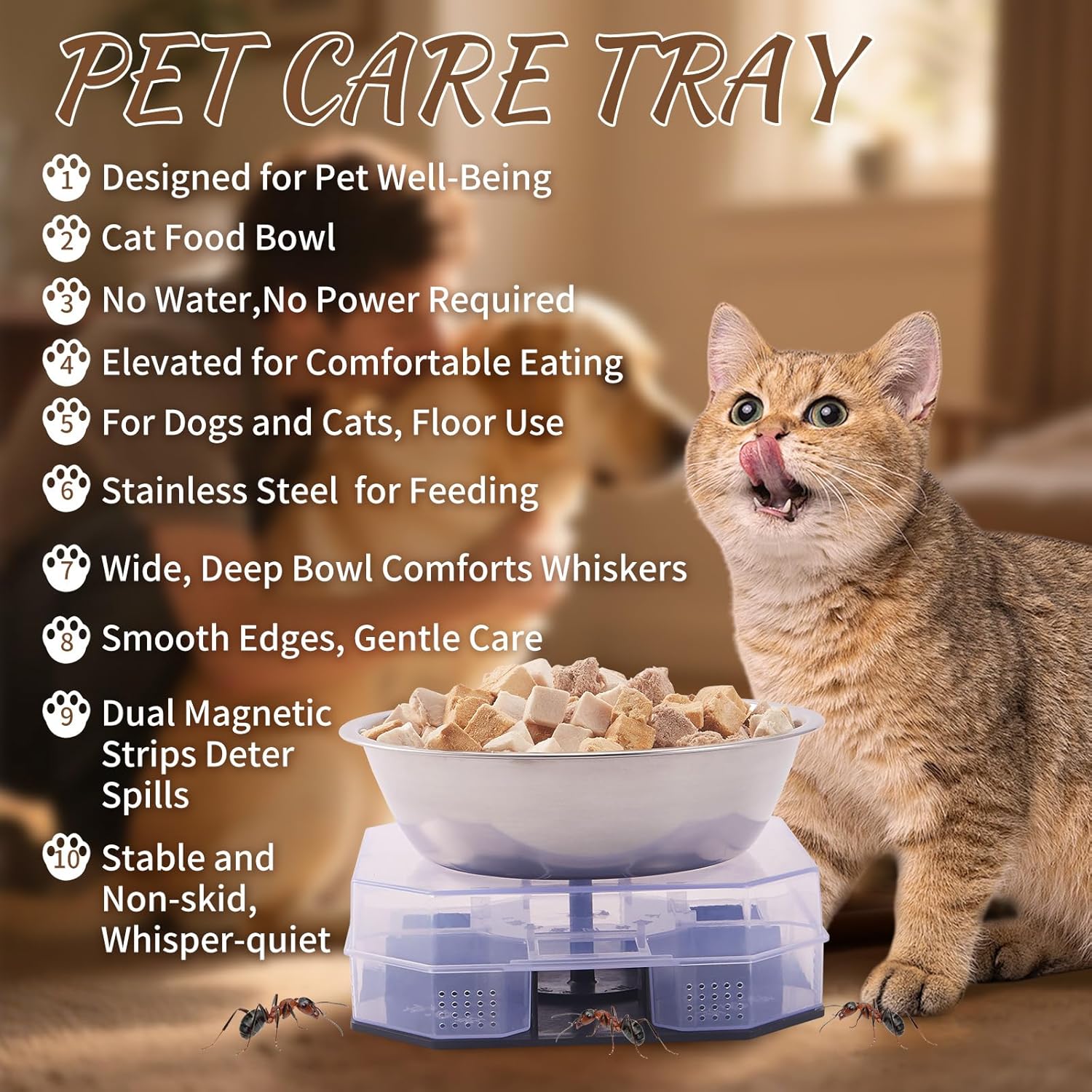 Wellness Pet Food Tray for Ant, Cat Food Bowls Tray Dog Feeding Station Outdoor Feeder Plastic Shelf with Lip for Small Dogs Feral Cats - Happypetzone.online - Image 2