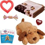 small pet accessories kit