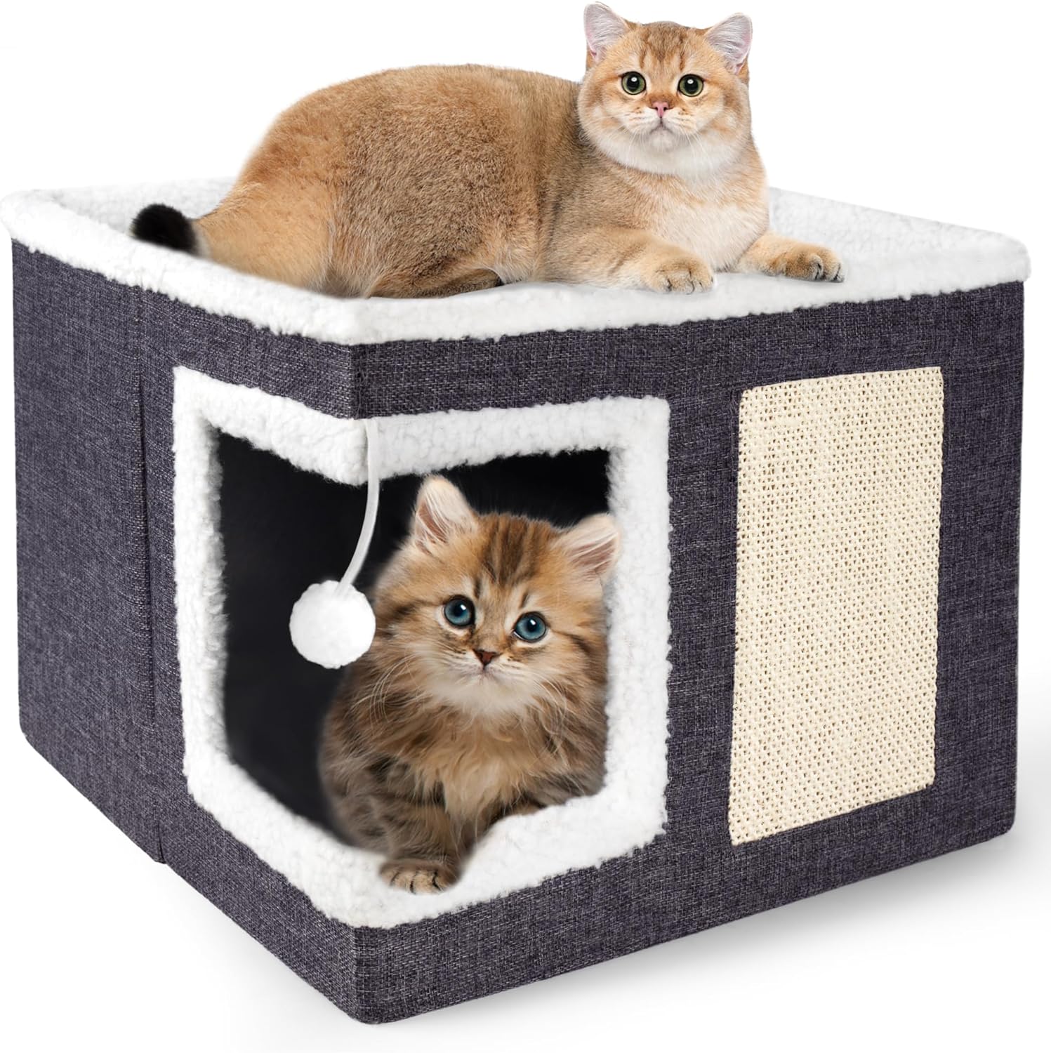 cat bed indoor